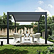 Pergola Icon 1013 (L x B x H: 308 x 399 x 282 cm, Anthrazit, Aluminium) | BAUHAUS