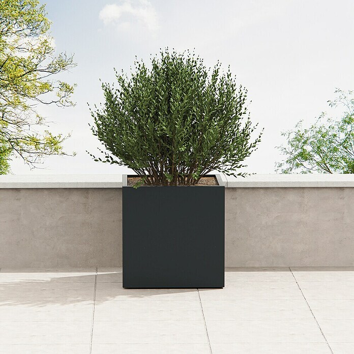 Herstera Garden Pflanzkasten Cube (Außenmaß (L x B x H): 80 x 80 x 80 cm, Metall, Anthrazit) | BAUHAUS