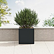 Herstera Garden Pflanzkasten Cube (Außenmaß (L x B x H): 80 x 80 x 80 cm, Metall, Anthrazit) | BAUHAUS