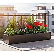 Herstera Garden Pflanzkasten Cube (Außenmaß (L x B x H): 150 x 40 x 25 cm, Metall, Anthrazit) | BAUHAUS