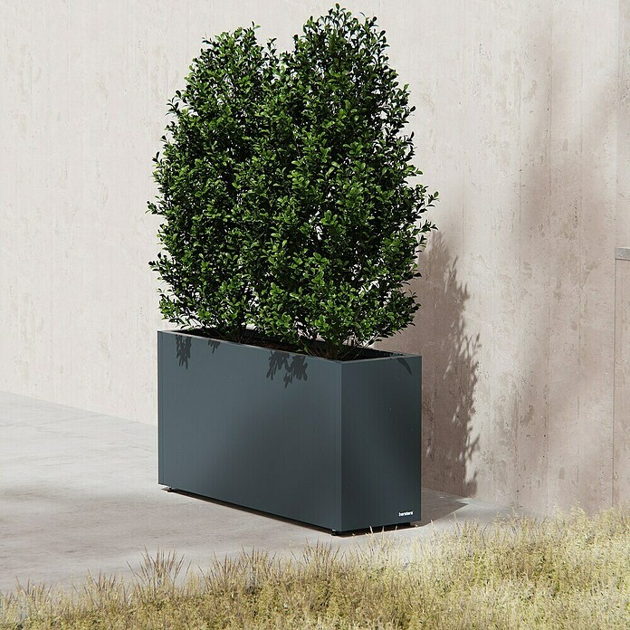 Herstera Garden Pflanzkasten Cube (Außenmaß (L x B x H): 30 x 100 x 50 cm, Metall, Anthrazit) | BAUHAUS