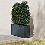 Herstera Garden Pflanzkasten Cube (Außenmaß (L x B x H): 30 x 100 x 50 cm, Metall, Anthrazit) | BAUHAUS