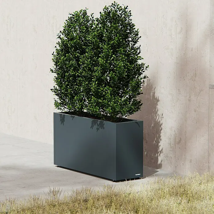 Herstera Garden Pflanzkasten Cube 30 M - Außenmaß (L x B x H): 30 x 100 x 50 cm, Metall, Anthrazit - Langer, dunkelgrauer Metallpflanzkübel mit üppigen Grünpflanzen, in einem modernen Außenbereich.