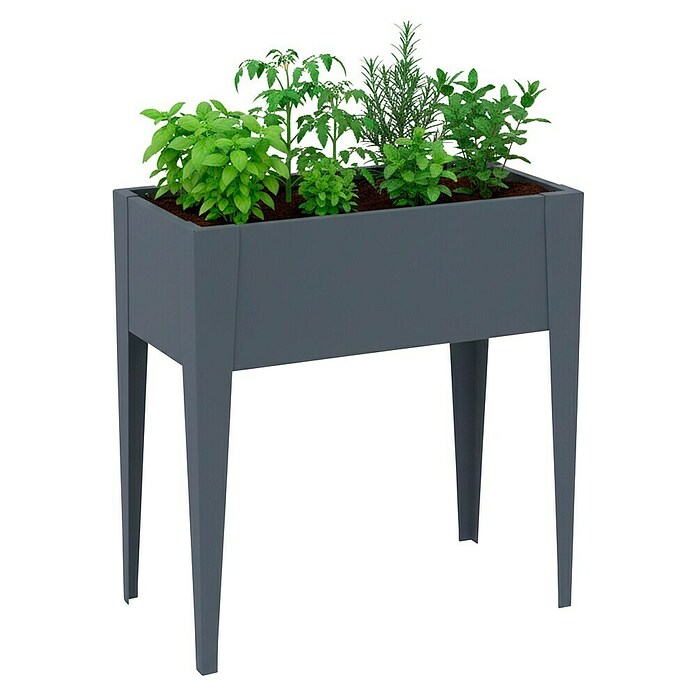 Westmann Hochbeet Vedura (40 x 74 x 80 cm, Metall, Anthrazit) | BAUHAUS