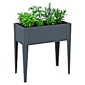 Westmann Hochbeet Vedura (40 x 74 x 80 cm, Metall, Anthrazit) | BAUHAUS