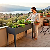 Westmann Hochbeet Vedura (30 x 100 x 80 cm, Metall, Anthrazit) | BAUHAUS