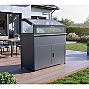 Westmann Hochbeet Plex Plus mit Frühbeetaufsatz (50 x 100 x 120 cm, Metall, Anthrazit) | BAUHAUS