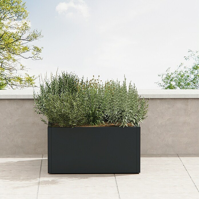 Herstera Garden Pflanzkasten Cube (Außenmaß (L x B x H): 100 x 100 x 50 cm, Metall, Anthrazit) | BAUHAUS