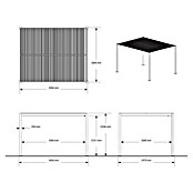 Sojag Standard-Pavillon Milo (B x H: 297,5 x 224,6 cm, Schwarz, Material Gestell: Stahl) | BAUHAUS