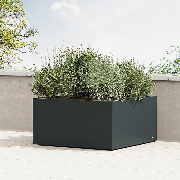 Herstera Garden Pflanzkasten Cube (Außenmaß (L x B x H): 100 x 100 x 50 cm, Metall, Anthrazit) | BAUHAUS