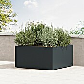Herstera Garden Pflanzkasten Cube (Außenmaß (L x B x H): 100 x 100 x 50 cm, Metall, Anthrazit) | BAUHAUS