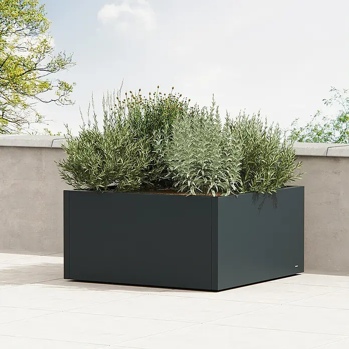 Herstera Garden Pflanzkasten Cube - Außenmaß (L x B x H): 100 x 100 x 50 cm, Metall, Anthrazit - Dunkelgrauer rechteckiger Pflanzkübel, gefüllt mit verschiedenen grünen Pflanzen, in einer Außenumgebung.