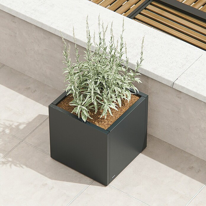 Herstera Garden Pflanzkasten Cube (Außenmaß (L x B x H): 60 x 60 x 60 cm, Metall, Anthrazit) | BAUHAUS