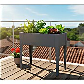Westmann Hochbeet Vedura (40 x 74 x 80 cm, Metall, Anthrazit) | BAUHAUS