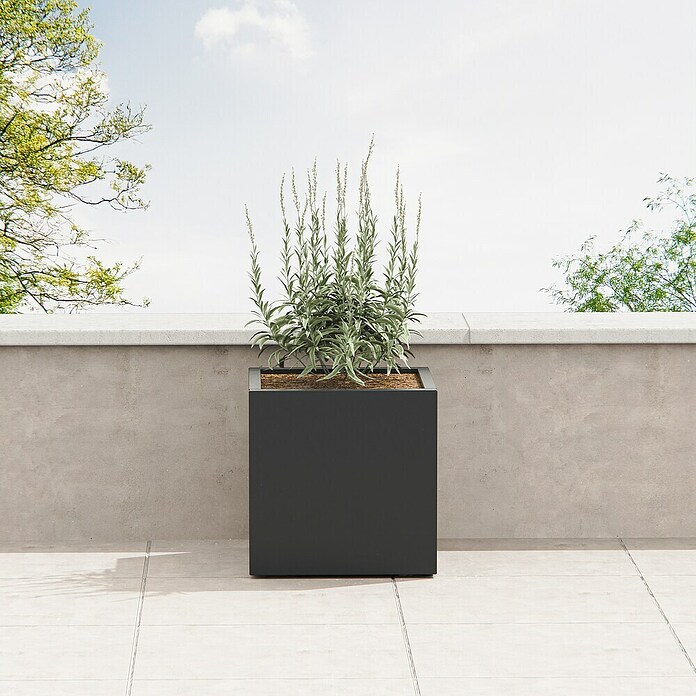 Herstera Garden Pflanzkasten Cube (Außenmaß (L x B x H): 60 x 60 x 60 cm, Metall, Anthrazit) | BAUHAUS