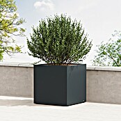 Herstera Garden Pflanzkasten Cube (Außenmaß (L x B x H): 80 x 80 x 80 cm, Metall, Anthrazit) | BAUHAUS