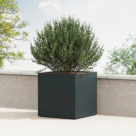 Herstera Garden  Pflanzkasten Cube