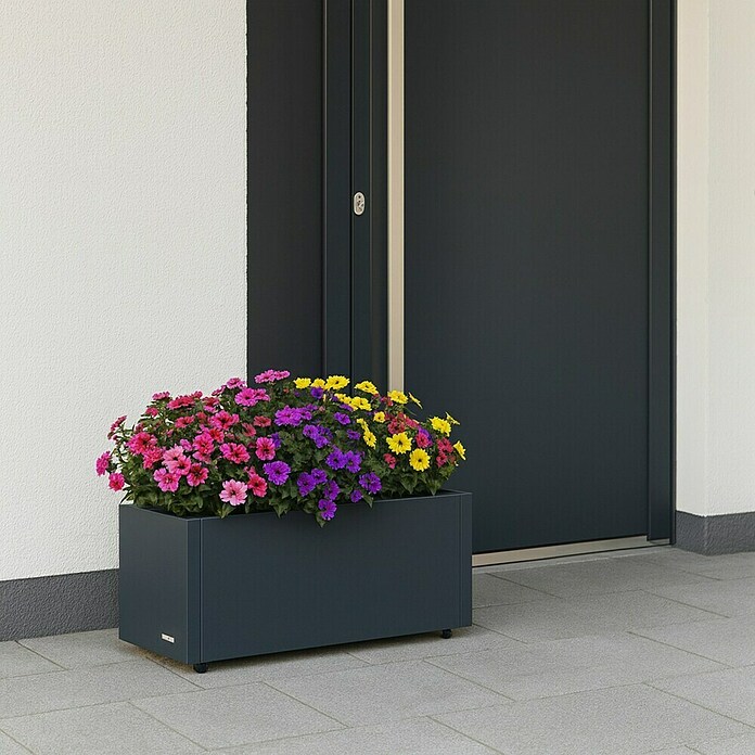 Herstera Garden Pflanzkasten Cube (Außenmaß (L x B x H): 80 x 25 x 25 cm, Metall, Anthrazit) | BAUHAUS