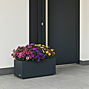 Herstera Garden Pflanzkasten Cube (Außenmaß (L x B x H): 80 x 25 x 25 cm, Metall, Anthrazit) | BAUHAUS