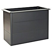 Westmann Hochbeet Primus Plus M mit Frühbeetaufsatz (50 x 100 x 113 cm, Metall, Anthrazit) | BAUHAUS