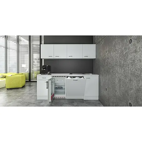 Flex-Well Wito Singleküche Typ 1