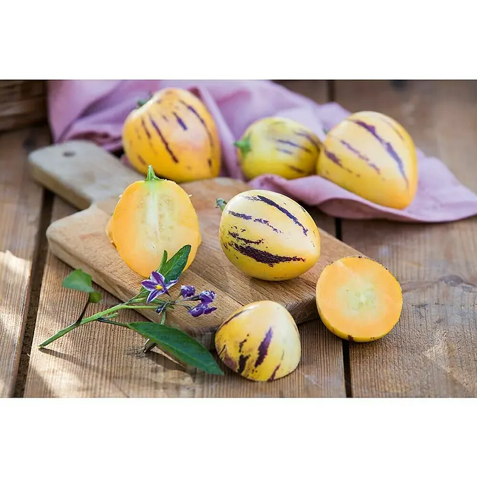 Piardino Bio Melonenbirne - Solanum muricatum, Topfgröße: 12 cm - Gelbe Pepino-Melonen mit lila Streifen, teils ganz, teils geschnitten, auf Holzbrett mit lila Blüten und rosa Tuch.