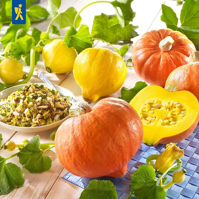 Piardino Hokkaidokürbis Amoro - Cucurbita maxima 'Amoro', 11 cm, Erntezeit: August - Frische orange und gelbe Kürbisse, ganze und geschnittene, mit einem zubereiteten Gericht.