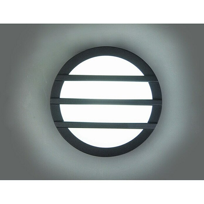 Lutec Aplique exterior LED Titan (1 luz, 3 W, Color de luz: Blanco cálido)
