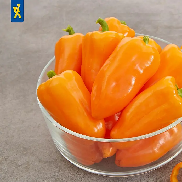 Paprika - Capsicum annum 'Salma Orange', 11 cm - Leuchtend orange Mini-Spitzpaprika, frisch und glänzend, in einer durchsichtigen Glasschale.