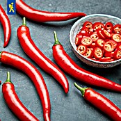 Piardino Paprika (Capsicum annuum 'Carla', 11 cm) | BAUHAUS