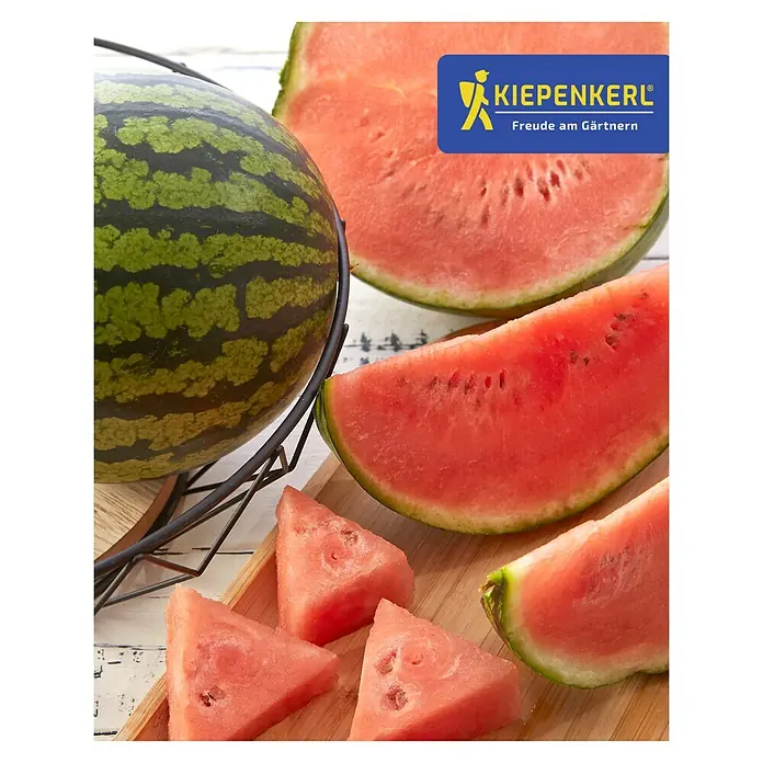 Piardino Wassermelone Mini Love - Citrullus lanatus, Topfgröße: 11 cm - Frische, leuchtende Wassermelonen, ganz, halbiert und in dreieckigen Stücken, auf Holz präsentiert, mit dem KIEPENKERL Logo.