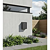 Allux Briefkasten 200 (L x B x H: 140 x 280 x 390 mm, Anthrazit, Stahl) | BAUHAUS