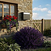 Allux Standbriefkasten LT150 (L x B x H: 150 x 390 x 330 mm, Schwarz, Stahl) | BAUHAUS