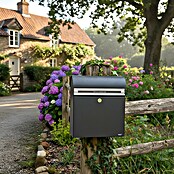 Allux Standbriefkasten KS200 (L x B x H: 170 x 400 x 445 mm, Anthrazit, Stahl, Namensschild) | BAUHAUS