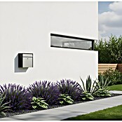 Allux Briefkasten 250 (L x B x H: 150 x 360 x 360 mm, Schwarz / Silber, Stahl) | BAUHAUS