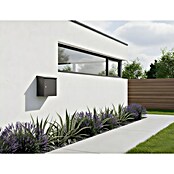Allux Standbriefkasten 400 (L x B x H: 15 x 360 x 355 mm, Anthrazit, Stahl) | BAUHAUS