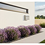 Allux Briefkasten KS200 (L x B x H: 170 x 400 x 445 mm, Silber, Stahl, Namensschild) | BAUHAUS