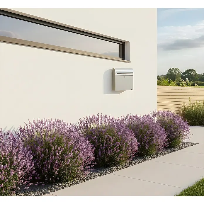 Allux Briefkasten KS200 - L x B x H: 170 x 400 x 445 mm, Silber, Stahl, Namensschild - Silberner Briefkasten an einer weißen Wand, über Lavendelpflanzen positioniert.