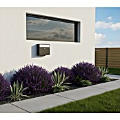 Allux Standbriefkasten 250 (L x B x H: 150 x 360 x 360 mm, Anthrazit, Stahl) | BAUHAUS