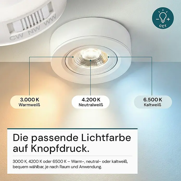 Luxula Wand- & Deckenspot - 5 W, Ø x H: 9,3 x 3,1 cm, Weiß, Mehrfarbig