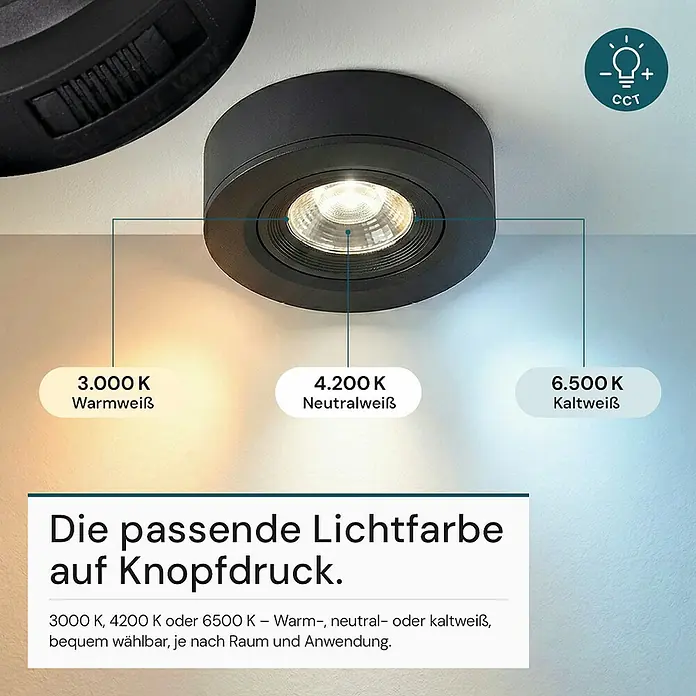 Luxula Wand- & Deckenspot - 5 W, Ø x H: 9,3 x 3,1 cm, Schwarz, Mehrfarbig