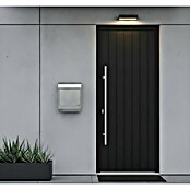 Allux Standbriefkasten 8900 (L x B x H: 160 x 340 x 500 mm, Silber, Stahl) | BAUHAUS