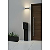 Allux Standbriefkasten 8900 (L x B x H: 160 x 340 x 500 mm, Schwarz, Stahl) | BAUHAUS