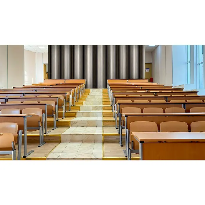 FibroTech Akustikpaneel Quanti - Grey, 2.440 x 520 x 18 mm - Leerer Hörsaal mit abgestuften Holztischen und Stühlen, einer zentralen Marmortreppe und einer gemusterten Wand.