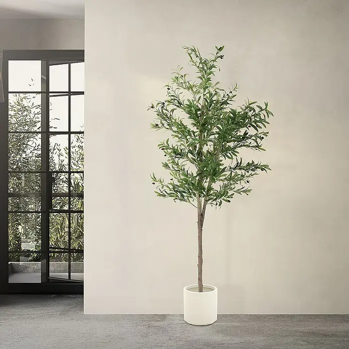 kirschlorbeer genolia 60-80 cm Kirschlorbeer Genolia ® (Prunus laurocerasus) | 60-80 cm mit Wurzelballen