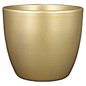Floran Plantenpot Boule (Buitenmaat (Ø x h): 22,5 x 19,5 cm, Keramiek, Parelgoud) | BAUHAUS