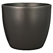 Floran Plantenpot Boule (Buitenmaat (Ø x h): 15,5 x 13,5 cm, Keramiek, Antraciet) | BAUHAUS