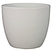Floran Plantenpot Boule (Buitenmaat (Ø x h): 15,5 x 13,5 cm, Keramiek, Wit) | BAUHAUS