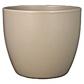 Floran Plantenpot Boule (Buitenmaat (Ø x h): 15,5 x 13,5 cm, Keramiek, Taupe) | BAUHAUS