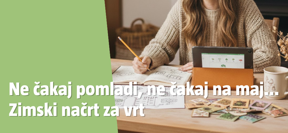 Zimski načrt za vrt